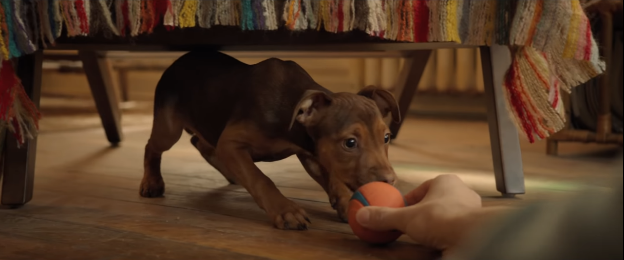 1b10b378e2851fa85fdf.png