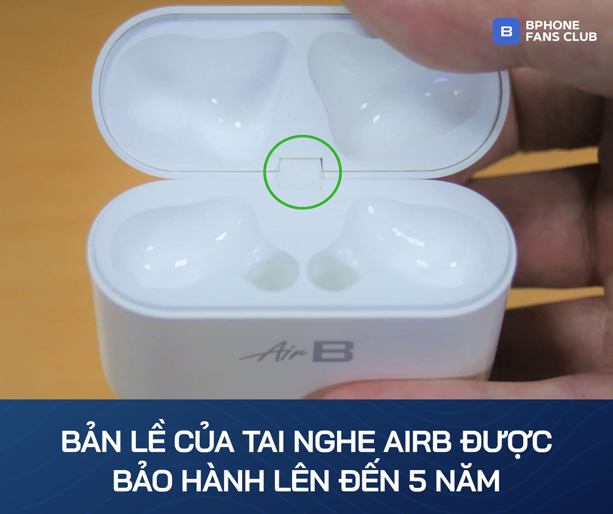 1b1c952345ecc8da7c46.jpg