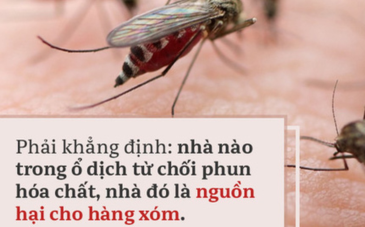 1b2eab904dea3f9cc0a8.jpg