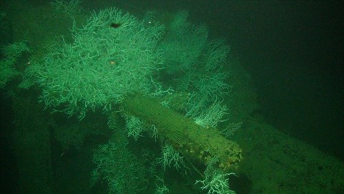 1b409f9580e00d1dbe26.jpg