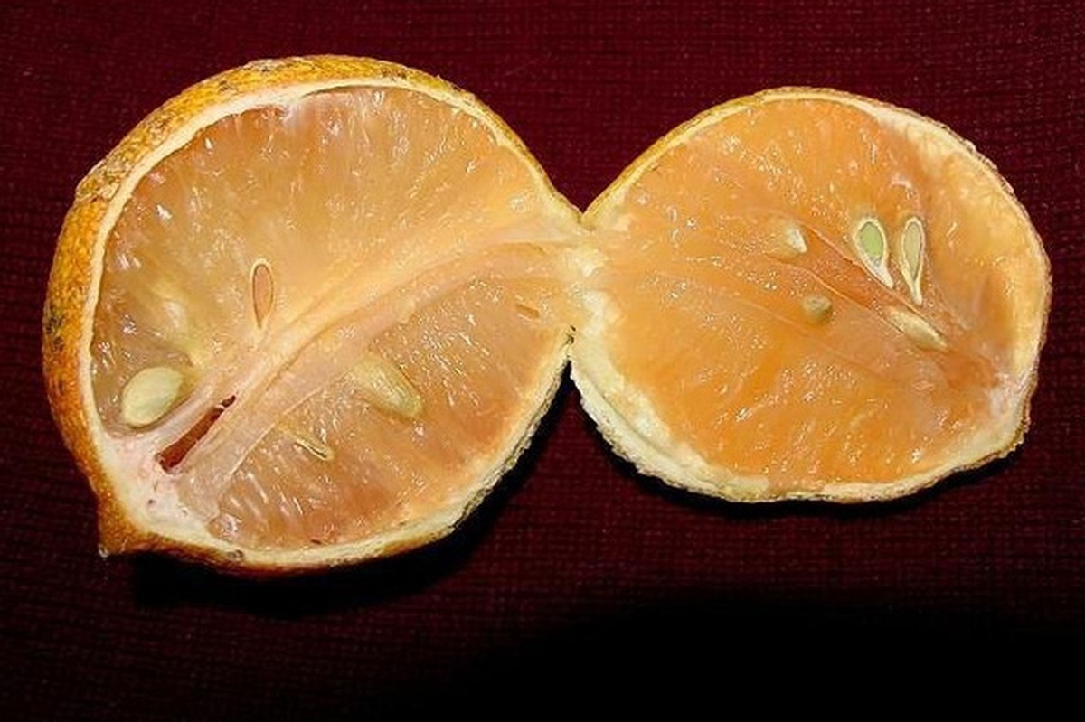 1b6b60f9c3a796b39bcb.jpg