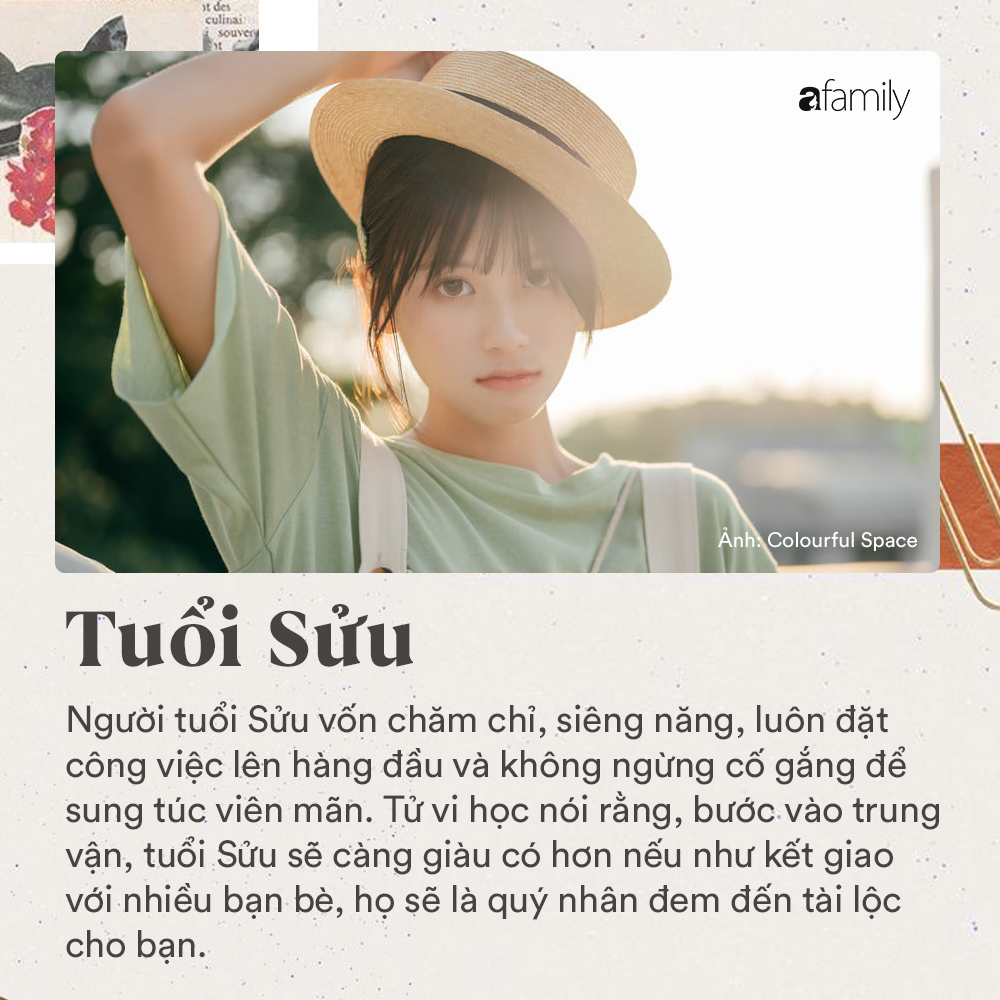 1b71179f7b1fae6e3843.png