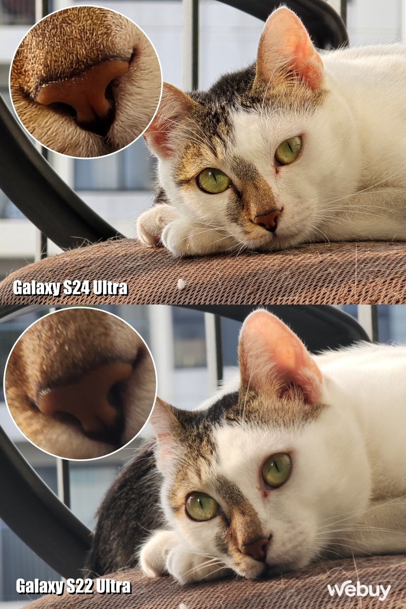 1bb74ca622090e867f59.jpg