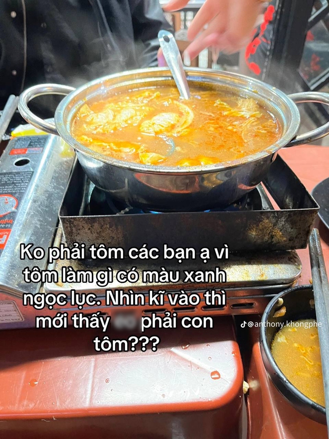 1bced2ddc824912784ba.jpg