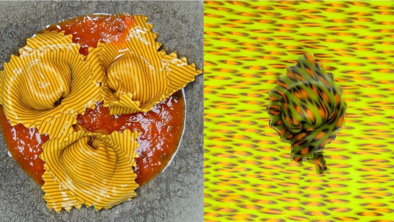1c13d86dc00b9b6ce1b6.jpg