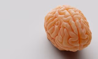 1c157eed148635719d0e.jpg