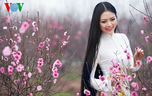 1c2eebe54a36af61781a.jpg