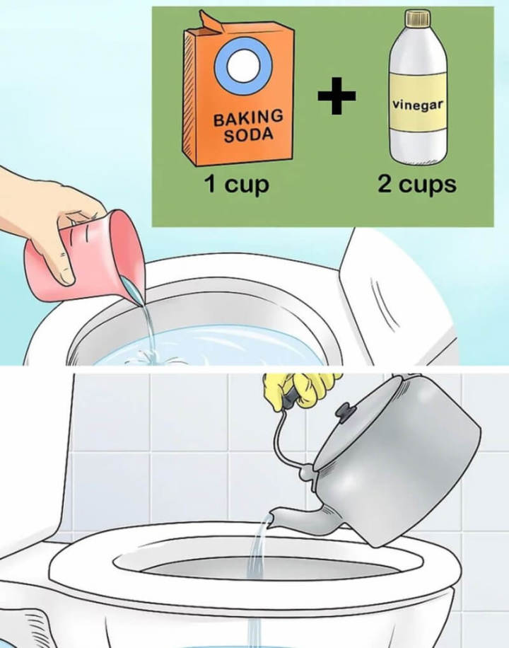 1c55bfcfdefb5e009c87.jpg