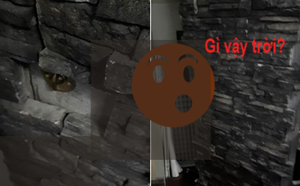 1c9488bad438f97d663d.png