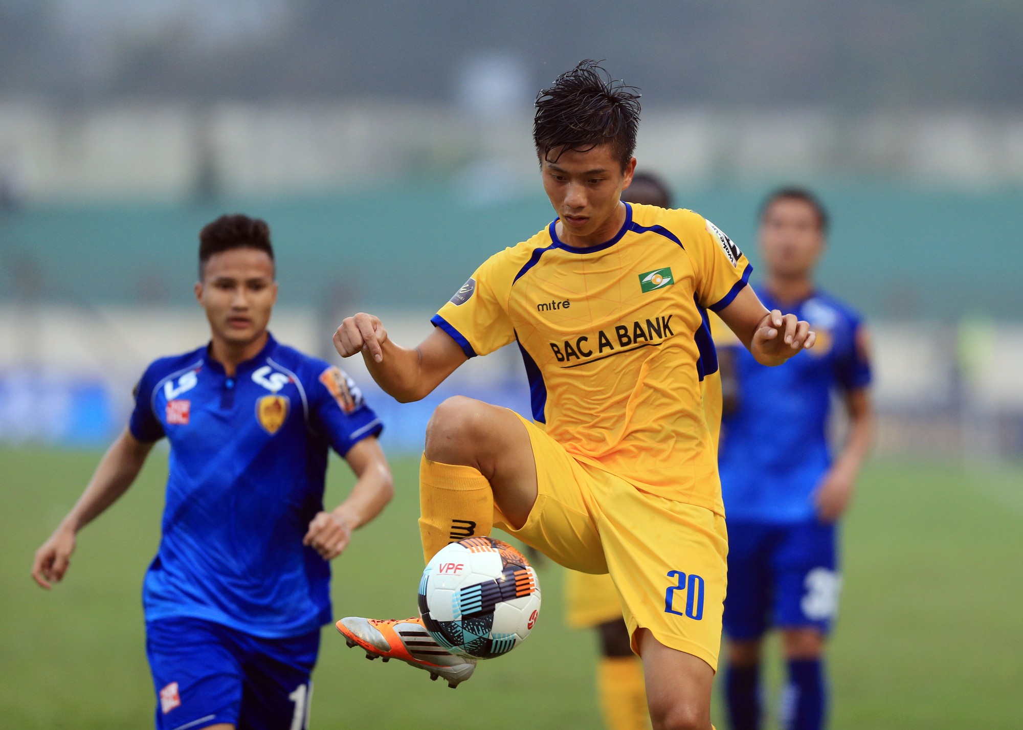 1caec17050269ff2f41f.jpg