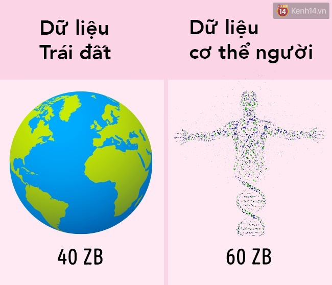 1cb386cdb5c298e29b59.png