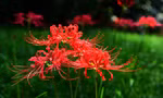 1cbeb094cce28768a8a1.jpg