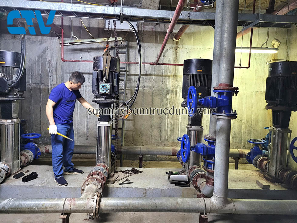 Máy bơm trục đứng lên tiếng kêu cứu? Cường Thịnh Vương xử ngay!