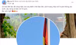 1d64fb73b84762b9956d.jpg