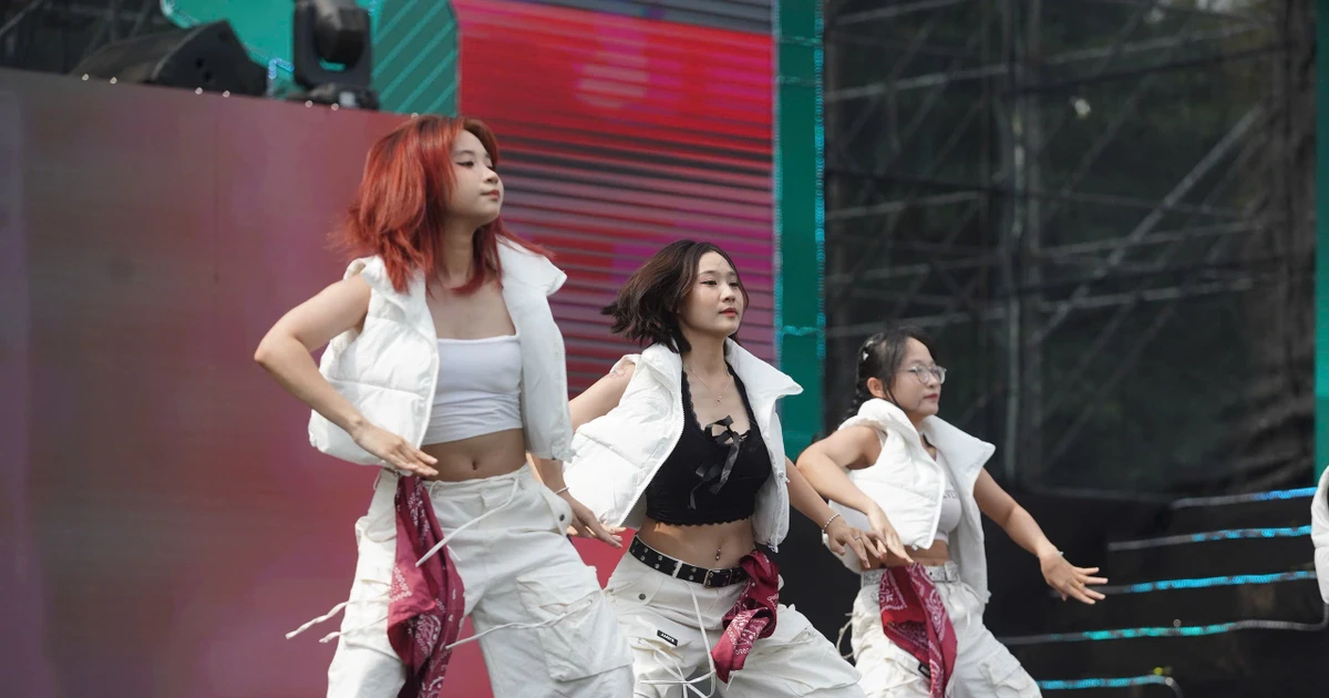 1d977ea3407fcc150625.webp