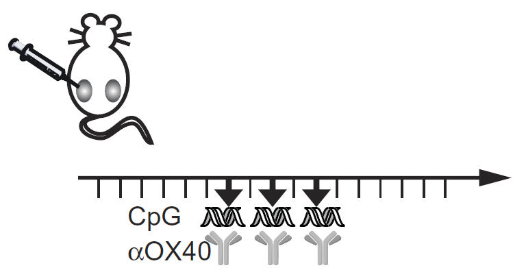 1d9a79ff4a36013fac43.png