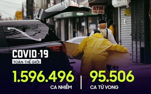 1dfddc27a1dbcf8eb477.jpg