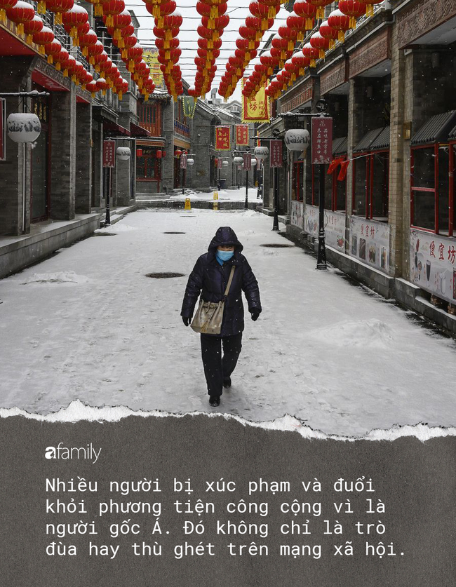 1e14e6355ed651659866.png