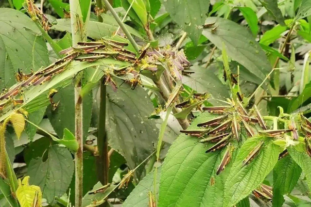 1e250cba36ac0ef7d04c.jpg