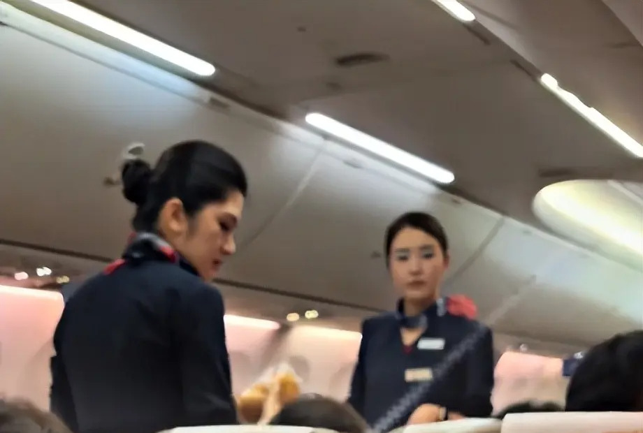 1e91b87e9eccc8814073.jpg