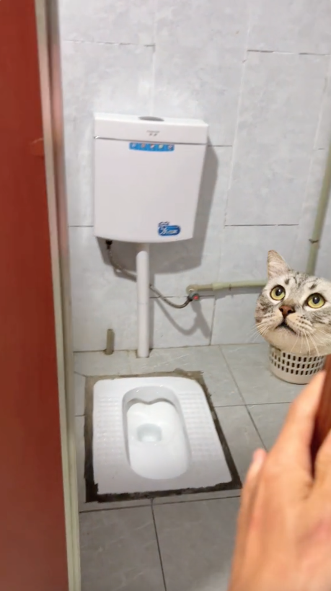 1eb847d1d979023919e2.png
