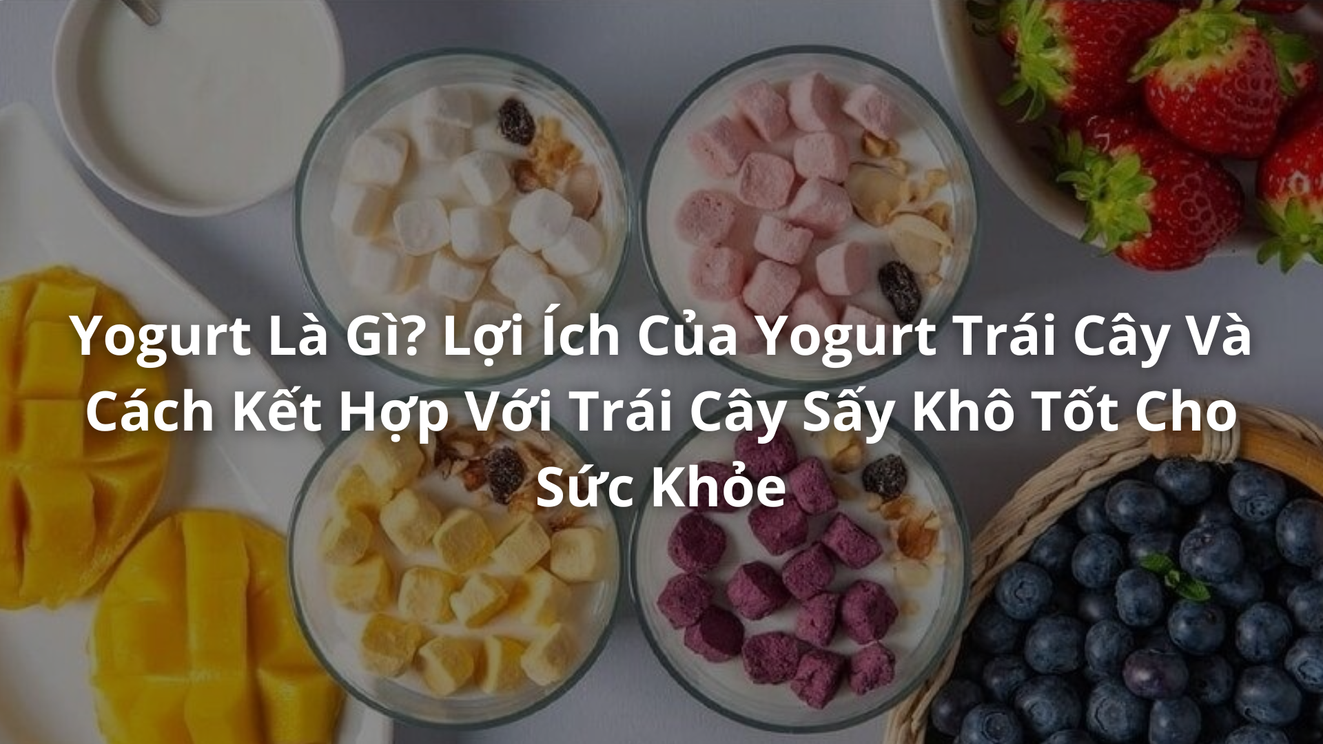 Yogurt là gì? Combo yogurt trái cây sấy khô - bí kíp ăn healthy mà vẫn ngon phát mê!