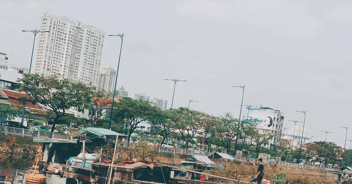 1ef6ad4b7ab8e4565a56.webp