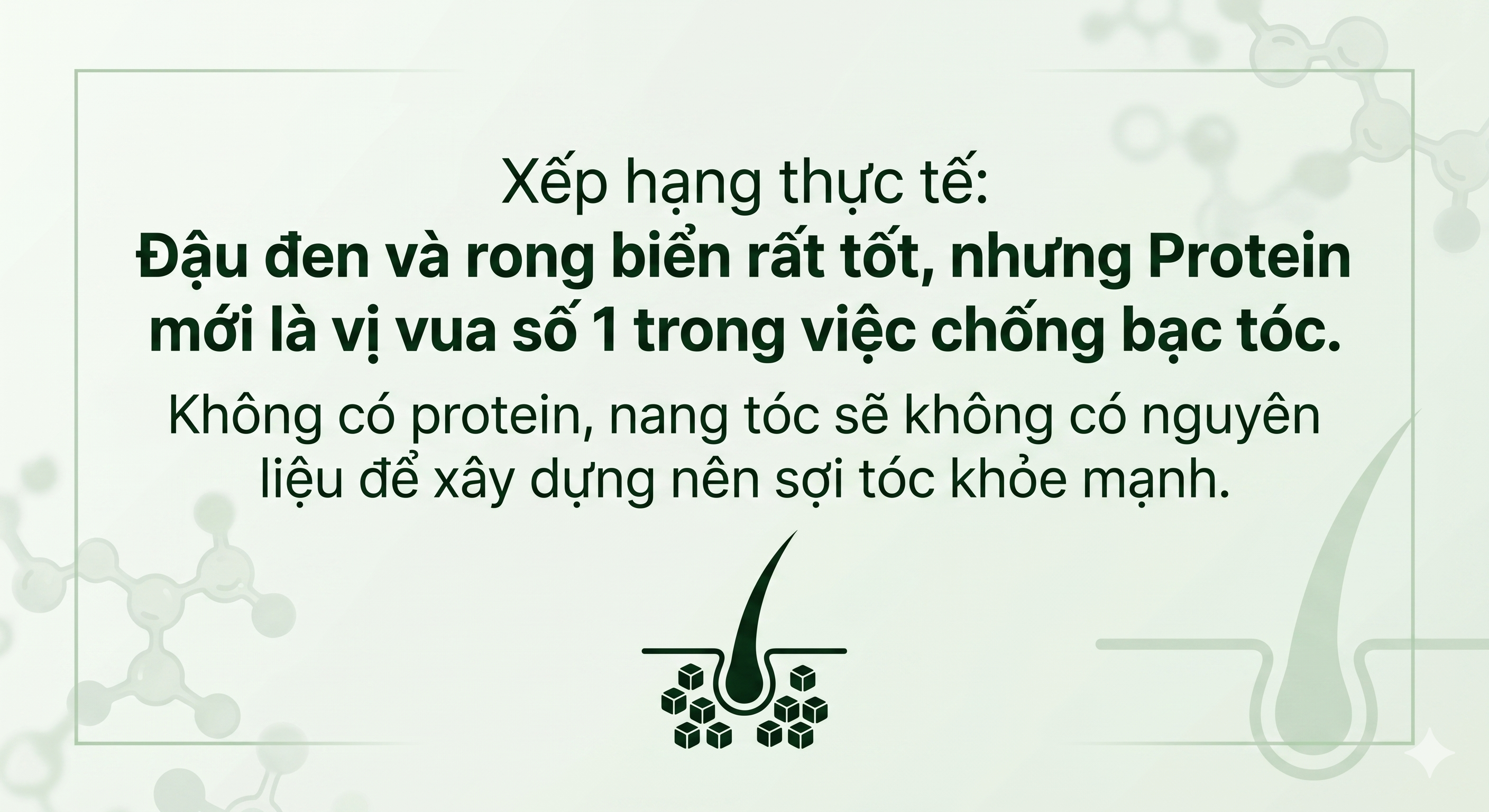 1efa4d2cba9dda6770f3.png