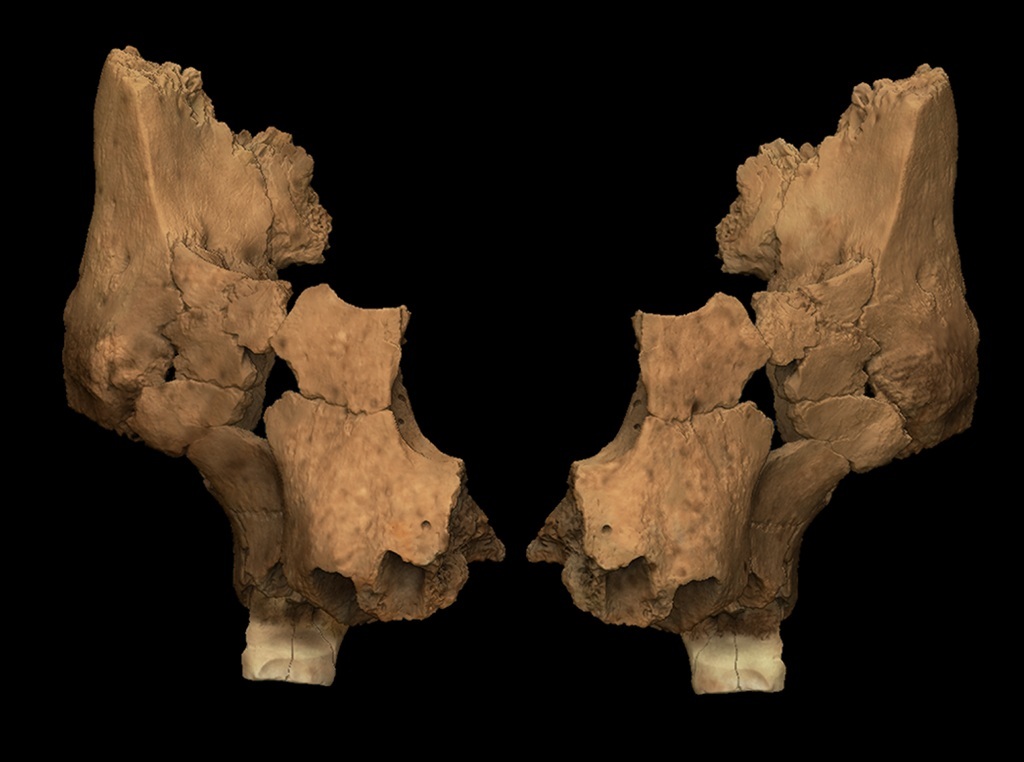 1efdd16308f716739943.jpg
