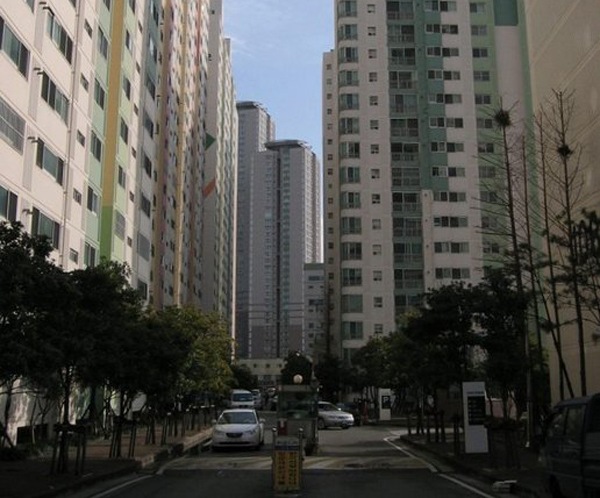 1f0378cb443053e5c4ac.jpg