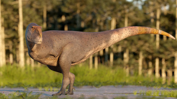 1f4eb8e1326120b0096a.jpg