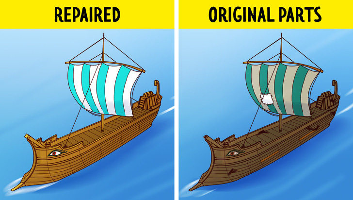 1f53f29752dcaadd0809.jpg