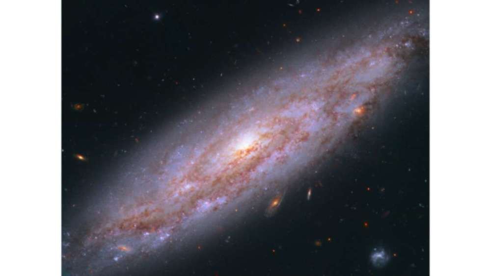 1f72072ca1900a2fe386.jpg