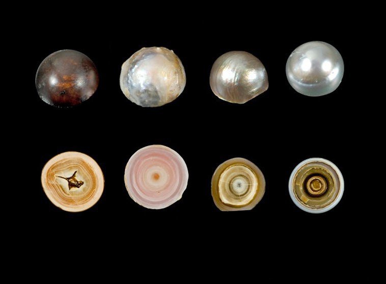 1f82ffcfbf3b59ce3e38.jpg