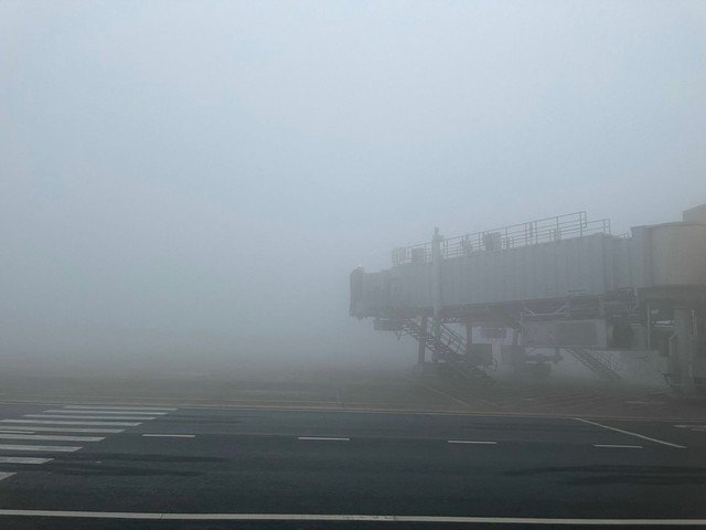 1f8f095e560a52f022e8.jpg