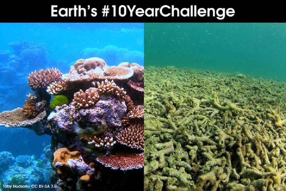 1f98f2dfa74cd43308c2.jpg
