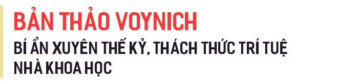 1fb7a569563bc61c75ff.png