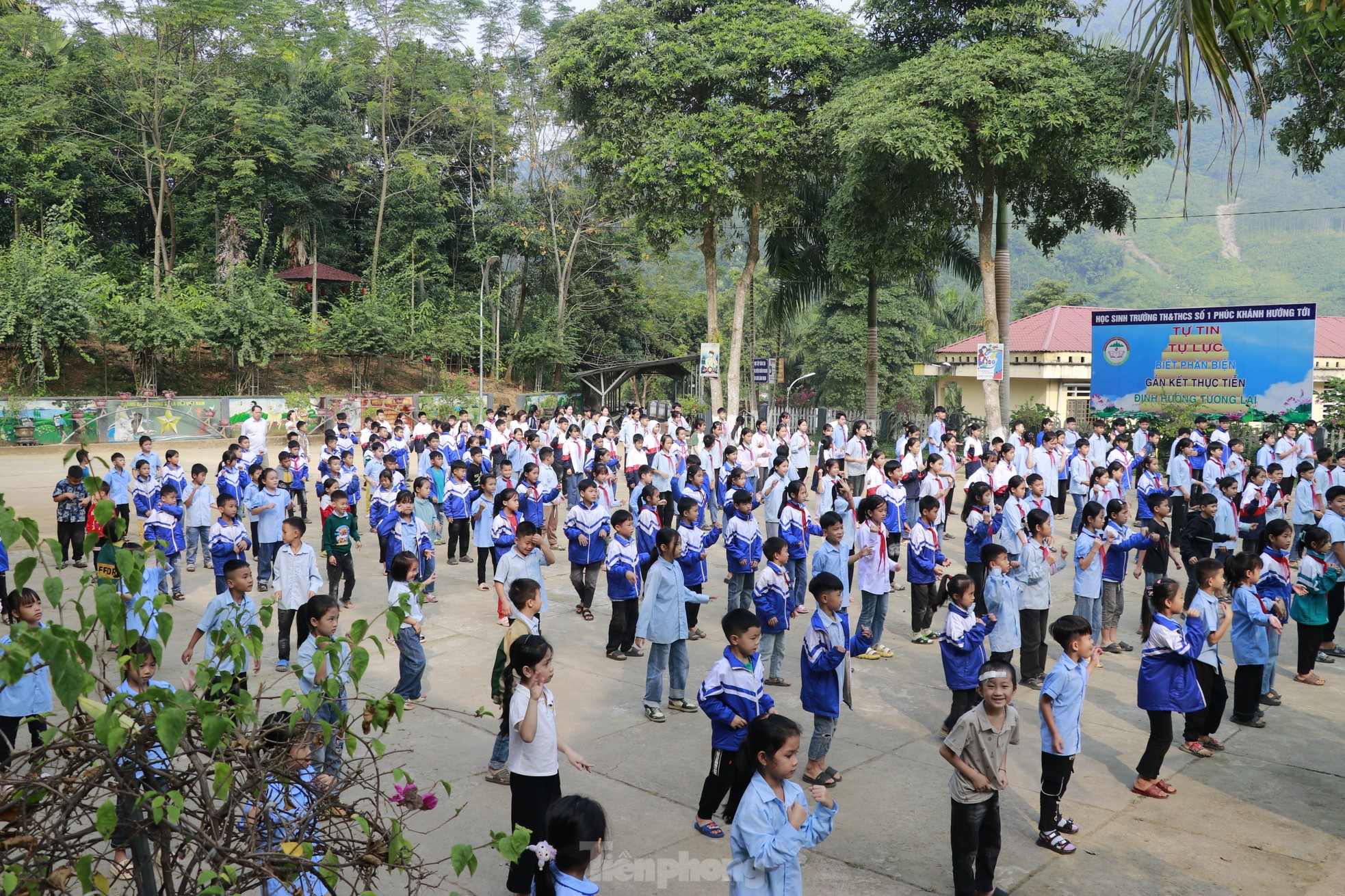 1fc627721ad4c72d53e9.jpg