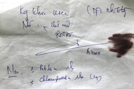 2010c07cd03775e3848a.jpg