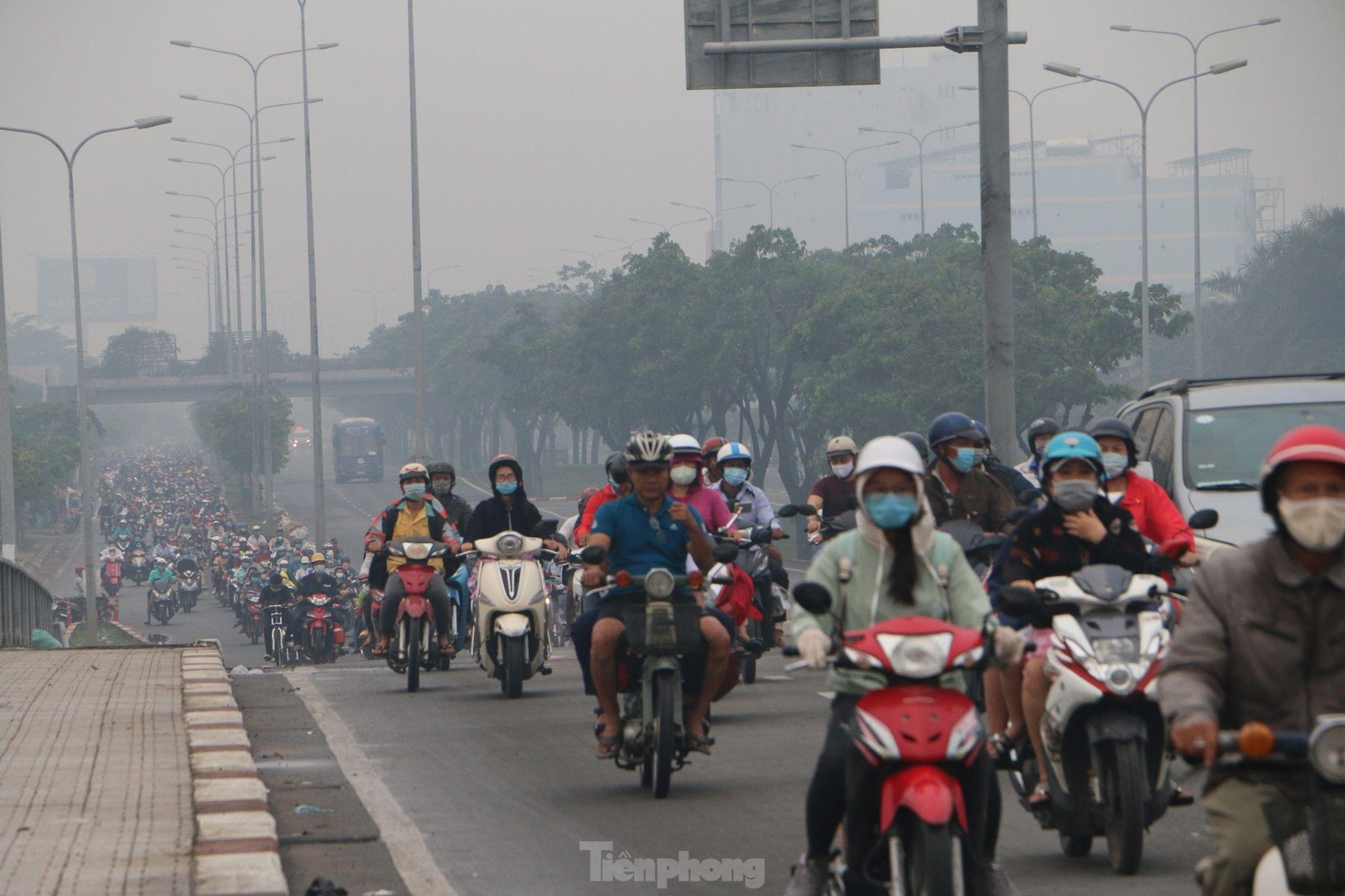 201caa603336e4d2e34f.jpg