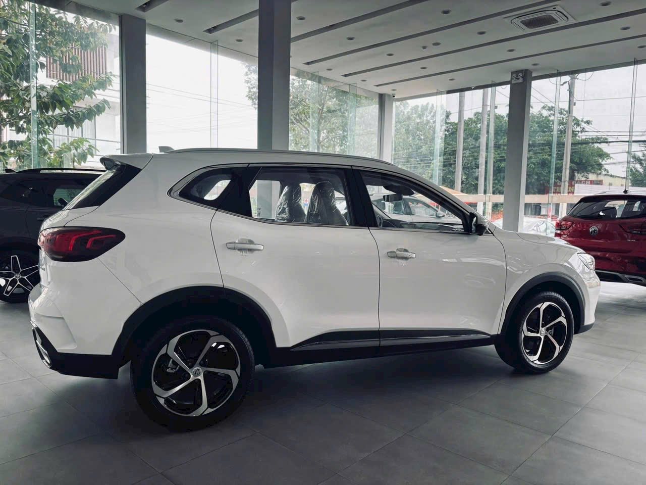 202391d1660fc448fecb.jpg