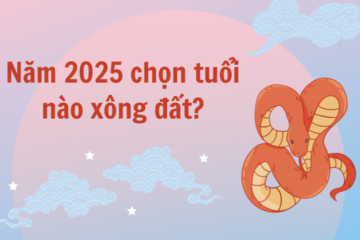 2046f5e55dc6671ea31d.png