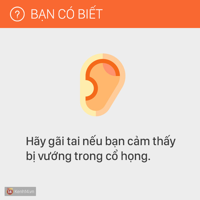 2056f1a6102d2675beae.jpg