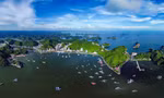 20841f05a59da68a7d9d.jpg