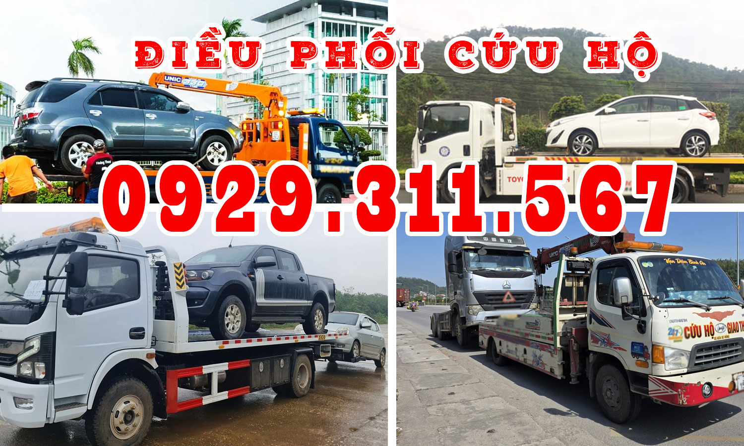 20ba96718d24cc0f509e.jpg