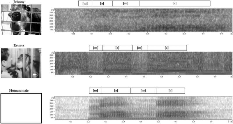 20bfcc2171bd77434b07.jpg