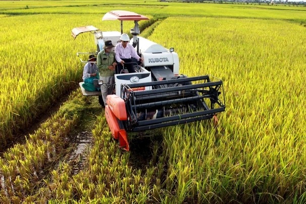 20c00d51a86d80a0b08a.jpg