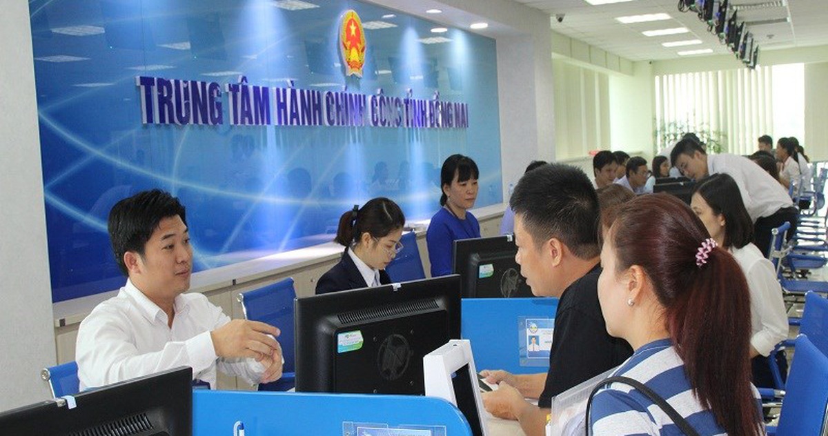 20cbf196048decb43b3f.jpg