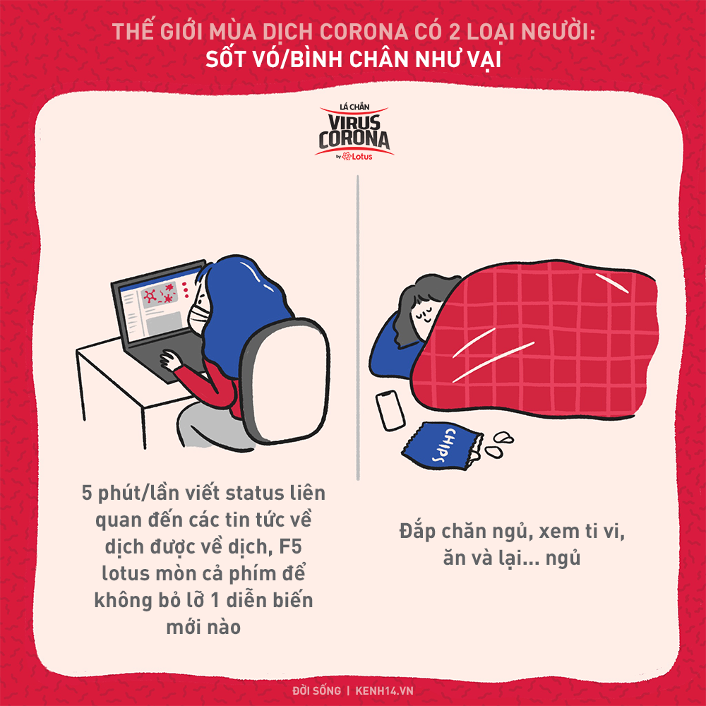 20e46effc594115095cc.png