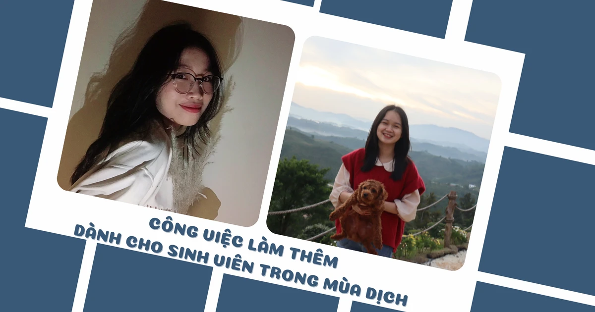 212c150c6932d64fc3ff.webp